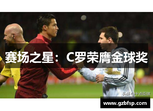 赛场之星：C罗荣膺金球奖